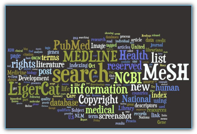 Common words relating to health librarianship...can be quite overwhelming to the newly initiated   http://www.wordle.net – All rights reserved – Copyright 2009